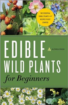 Edible Wild Plants for Beginners