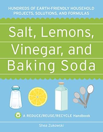 Salt, Lemons, Vinegar, and Baking Soda