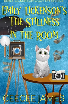 Emily Lickenson’s the Stillness in the Room