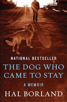 The Dog Who Came to Stay